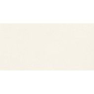 UNICOLORE BIANCO ASSOLUTO ANTIBACTERIAL TECHNIC R10 20x20 - CASALGRANDE PADANA 403701 CASALGRANDE PADANA - 1