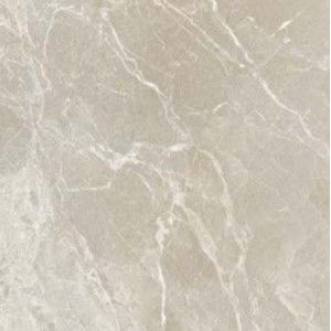 MEDICEA GRIGIO 10X30,2 POLISHED SQ - COEM BB133LR COEM CERAMICHE - 1