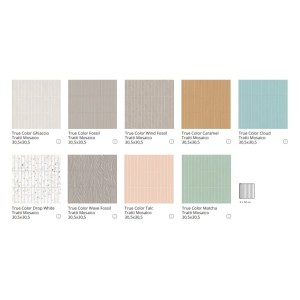 TRUE COLOR WIND FOSSIL TRATTI MOSAIC 30,5X30,5 - FAP CERAMICHE fTLV FAP CERAMICHE - 1