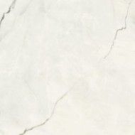 HPM Premiere 20 120X120 SHINE ONICE BIANCO - DEL CONCA GRPM20S DEL CONCA - 1