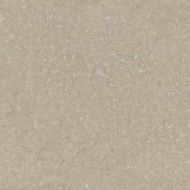 HWD2 Wild2 HWD211 60X120 THICKENED  RT  HARD GREIGE - DEL CONCA SCWD11R DEL CONCA - 1