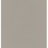 Made 2.0 Dust Levigato 120x120 12mm - GIGACER M2DUSTLEV120/X GIGACER - 1