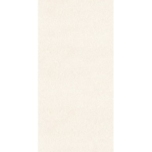 AVENUE BLACK NATURE L9 29,7X59,6  NERO - PORCELANOSA 100350440 PORCELANOSA  - 1