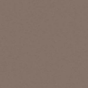 UNICOLORE GRIGIO CENERE TECHNIC R10 30x30 11,2MM - CASALGRANDE PADANA 721102 CASALGRANDE PADANA - 1