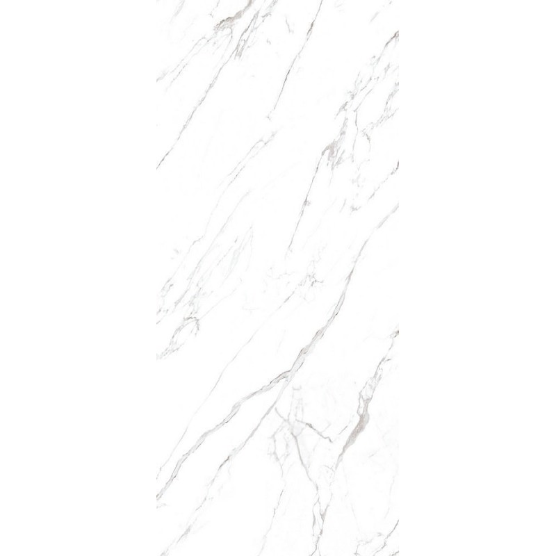 MARMOKER STATUARIO GRIGIO HONED ANTIBACTRIAL SQ 60x120 9MM - CASALGRANDE PADANA 2475717 CASALGRANDE PADANA - 1