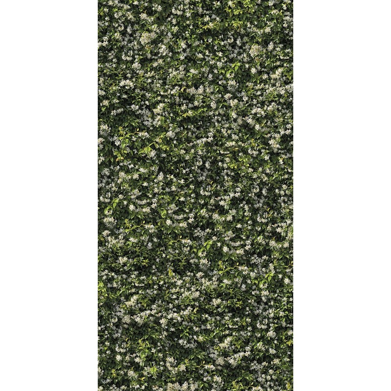 LIMPHA GELSOMINO RT 120x278 6MM - CASALGRANDE PADANA 11570024 CASALGRANDE PADANA - 1