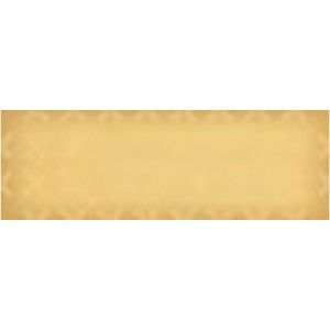 SLIDE MOVE CARAMEL SQ     60X20  562251 IRIS CERAMICA