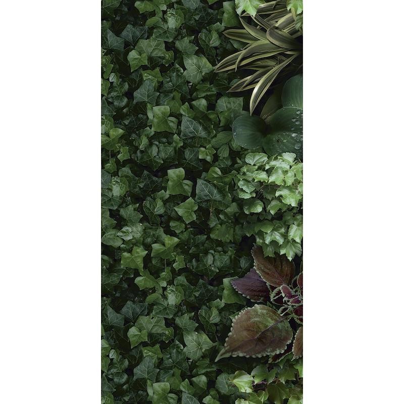 Paper41 Pro Jane A  50x100  - 41zero42 4100151