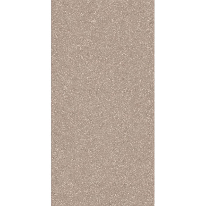 Nok Grains Taupe 60x120 9mm - 41zero42 4101186