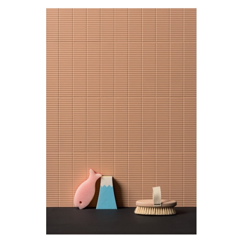 Biscuit Strip Terra 5x20 8mm - 41zero42 4100603