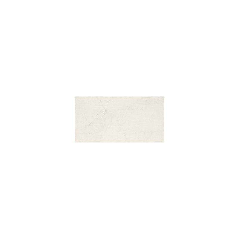 ALLMARBLE ALTISSIMO LUX MMGR 58X116cm MARAZZI