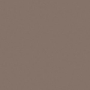 UNICOLORE GRIGIO CENERE PROFIL 20x20cm Casalgrande Padana   405002 CASALGRANDE PADANA - 1