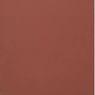 UNICOLORE ROSSO MATTONE ANTIBACTERIAL 20x20cm Casalgrande Padana   405713 CASALGRANDE PADANA - 1