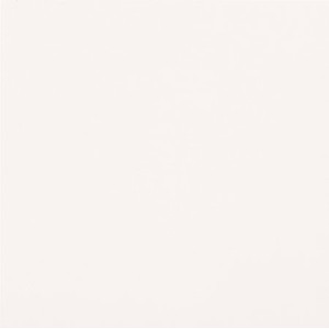 UNICOLORE BIANCO A ANTIBACTERIAL POLISHED 30x30cm Casalgrande Padana   709101 CASALGRANDE PADANA - 1