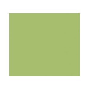 ARCHITECTURE  ACID GREEN 30x30cm Casalgrande Padana  3700012 CASALGRANDE PADANA - 1