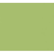 ARCHITECTURE  ACID GREEN 30x60cm Casalgrande Padana  3790112 CASALGRANDE PADANA - 1