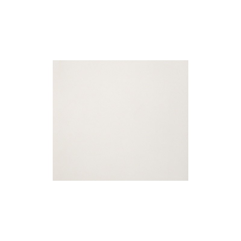 ARCHITECTURE  LIGHT IVORY 30x60cm Casalgrande Padana  4790153 CASALGRANDE PADANA - 1
