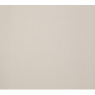 ARCHITECTURE  DARK IVORY 30x60cm Casalgrande Padana  4790156 CASALGRANDE PADANA - 1