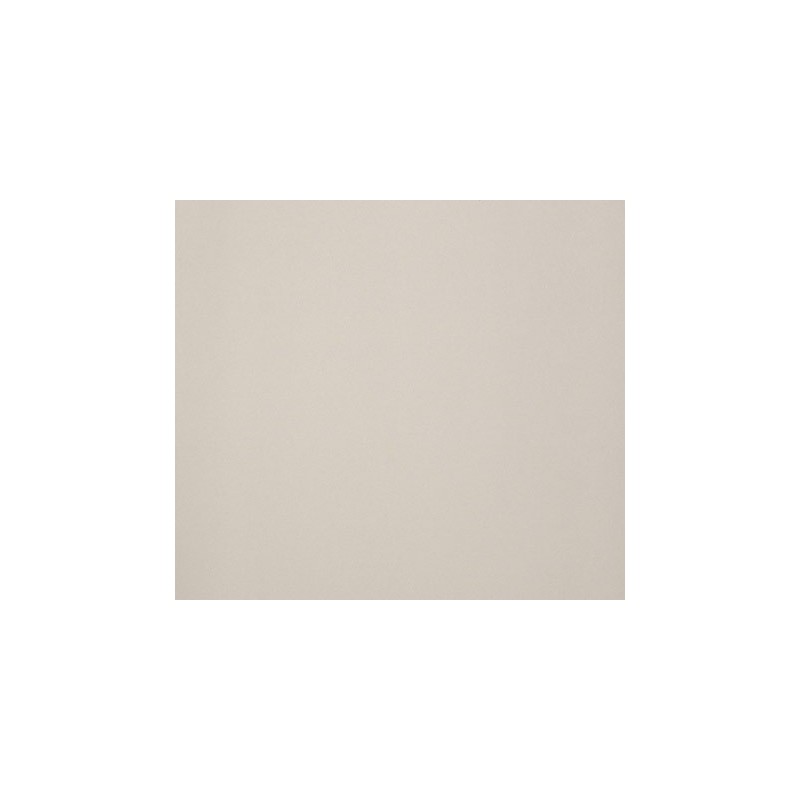ARCHITECTURE  DARK IVORY ANTIBACTERIAL 30x60cm Casalgrande Padana  4795756 CASALGRANDE PADANA - 1