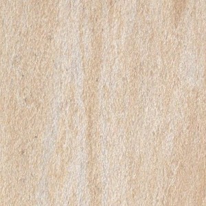 AMAZZONIA ELDORADO 30x30cm Casalgrande Padana  4700029 CASALGRANDE PADANA - 1