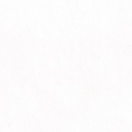 MARMOKER BIANCO VIETNAM LUCIDO 44 x 88 Casalgrande Padana 10690201 CASALGRANDE PADANA - 1