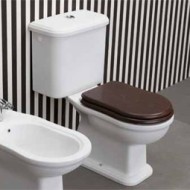 TOILETTE  MONOBLOC P EFI BLANC  - Ceramica Flaminia 6002 CERAMICA FLAMINIA - 1