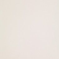 ICON WHITE 120L 120x120 White  120x120 Polished Smooth    One Caliber- LEONARDO LEONARDO CERAMICA - 1