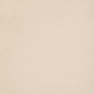 ICON CREAM 12L 60x120 CHAMPAGNE 60x120 Polished Smooth    One Caliber- LEONARDO LEONARDO CERAMICA - 1