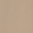 ICON BEIGE 60L 60x60 BEIGE 60x60 Polished Smooth    One Caliber- LEONARDO LEONARDO CERAMICA - 1