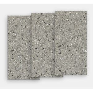 SQ.Venice Grey Polished 120x60 - FMG L62408 FMG IRIS - 1